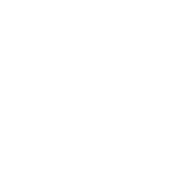 Kralj Dizajn