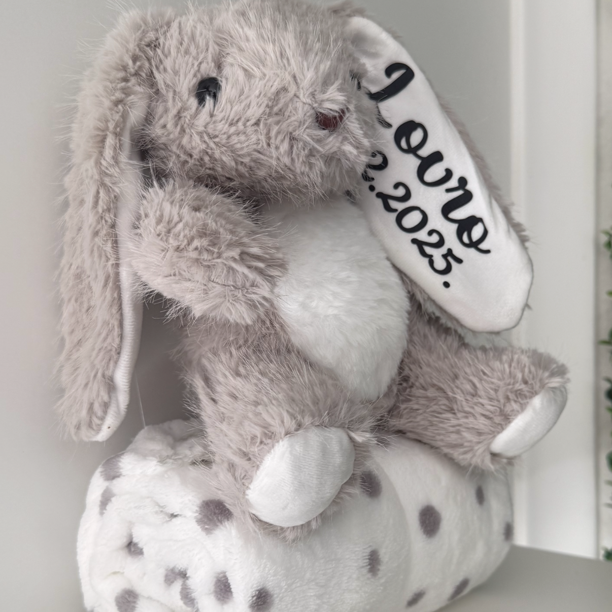 Personalizirani zeko s dekicom